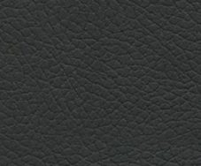 Black Onyx