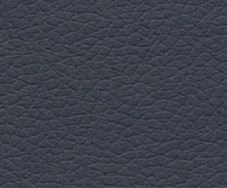 Night Navy