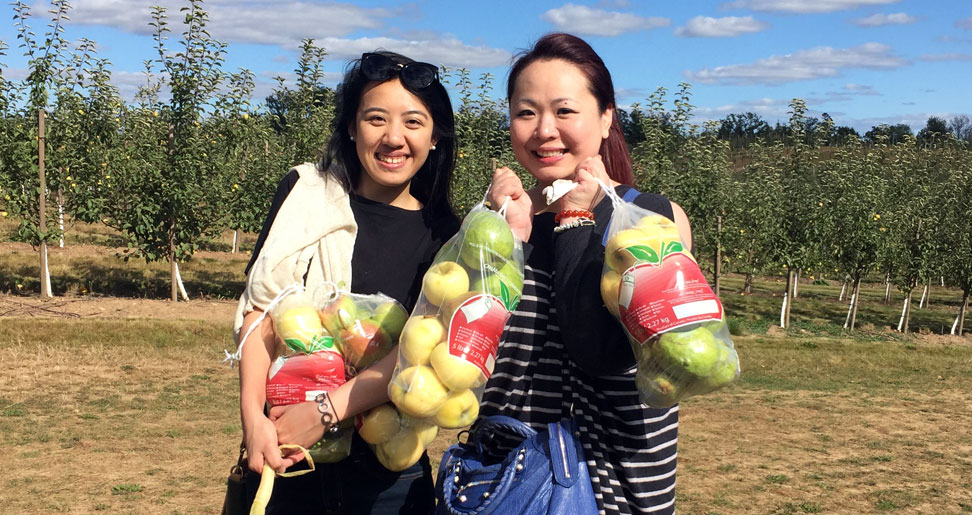 Tayco Team Event - Apple Picking