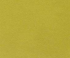Kiwi Green
