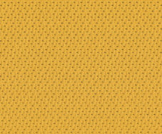 Maize