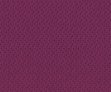 Raspberry