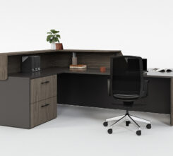 Karibu-Reception-J1