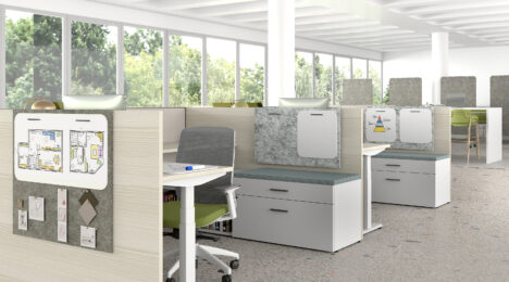 Designing for Wellness and Sustainability with PET