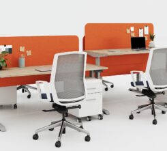 Table-Volley-Height-Adjustable-Echo