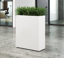 Union-Planters